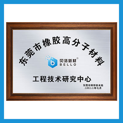 Dongguan rubber polymer materials Engineering Technology Research Center